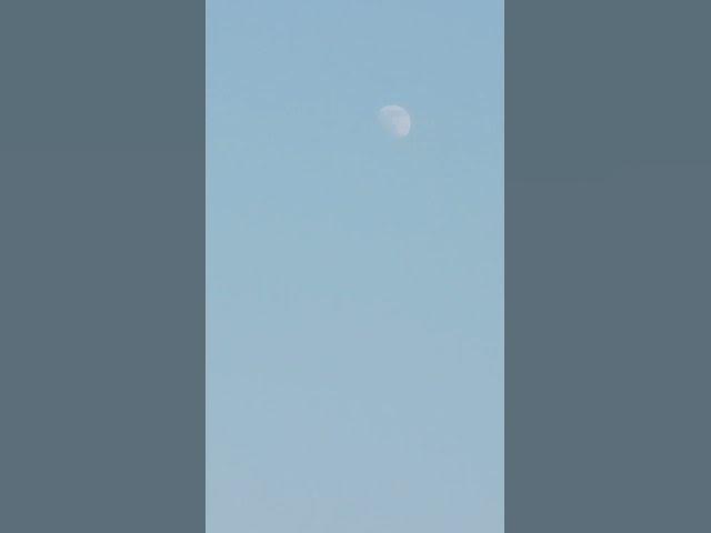 Video thumbnail for December 1, 2025