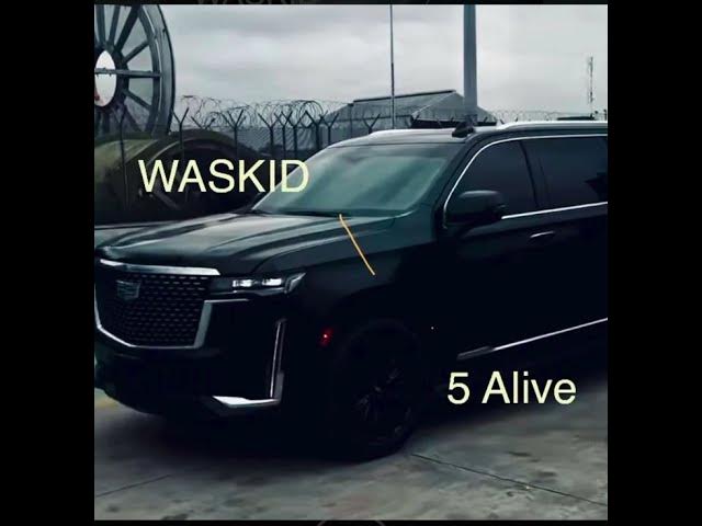 Video thumbnail for 5 Alive. #music #music # #dothingsyoudontwanttodo #afrobeats #lifeisbutadream #theothe #newmusic