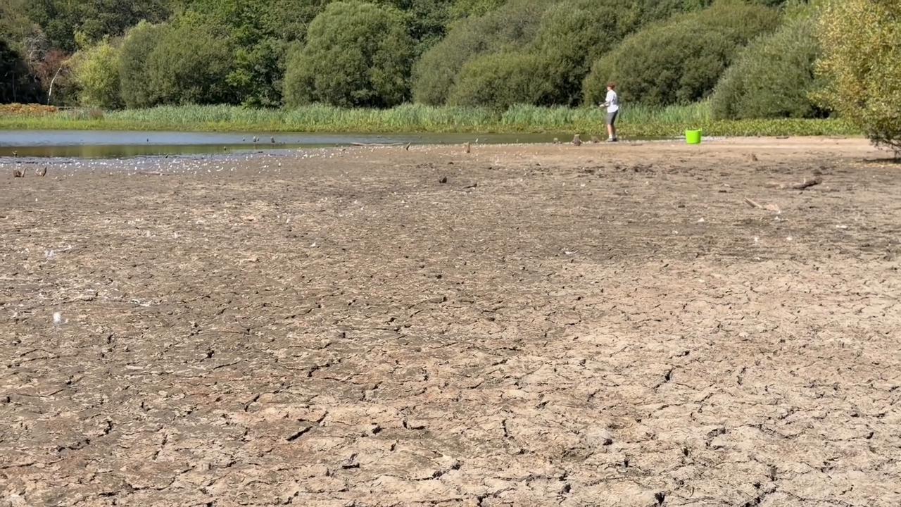 Video thumbnail for UK: Prolonged heatwave and drought dry up historic Stew Pond at Epsom Common in Surrey.