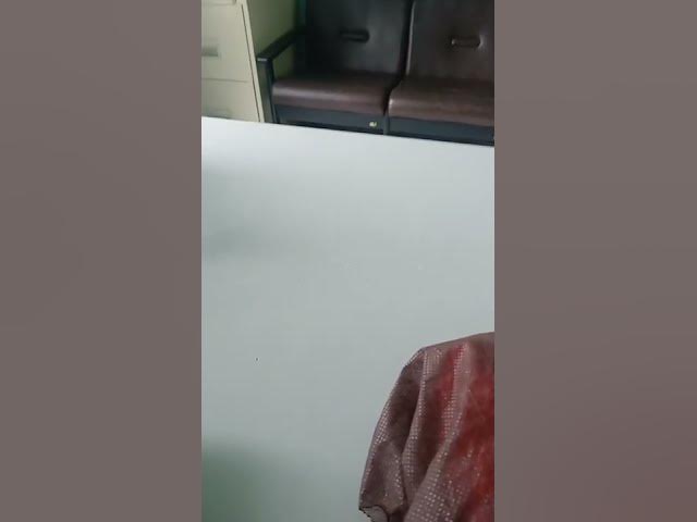 Video thumbnail for 19 April 2022