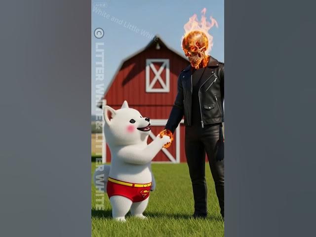 Video thumbnail for The kitten laughs at the puppy for having a donkey  #cats #shorts #short #cat #story #meow #kitten