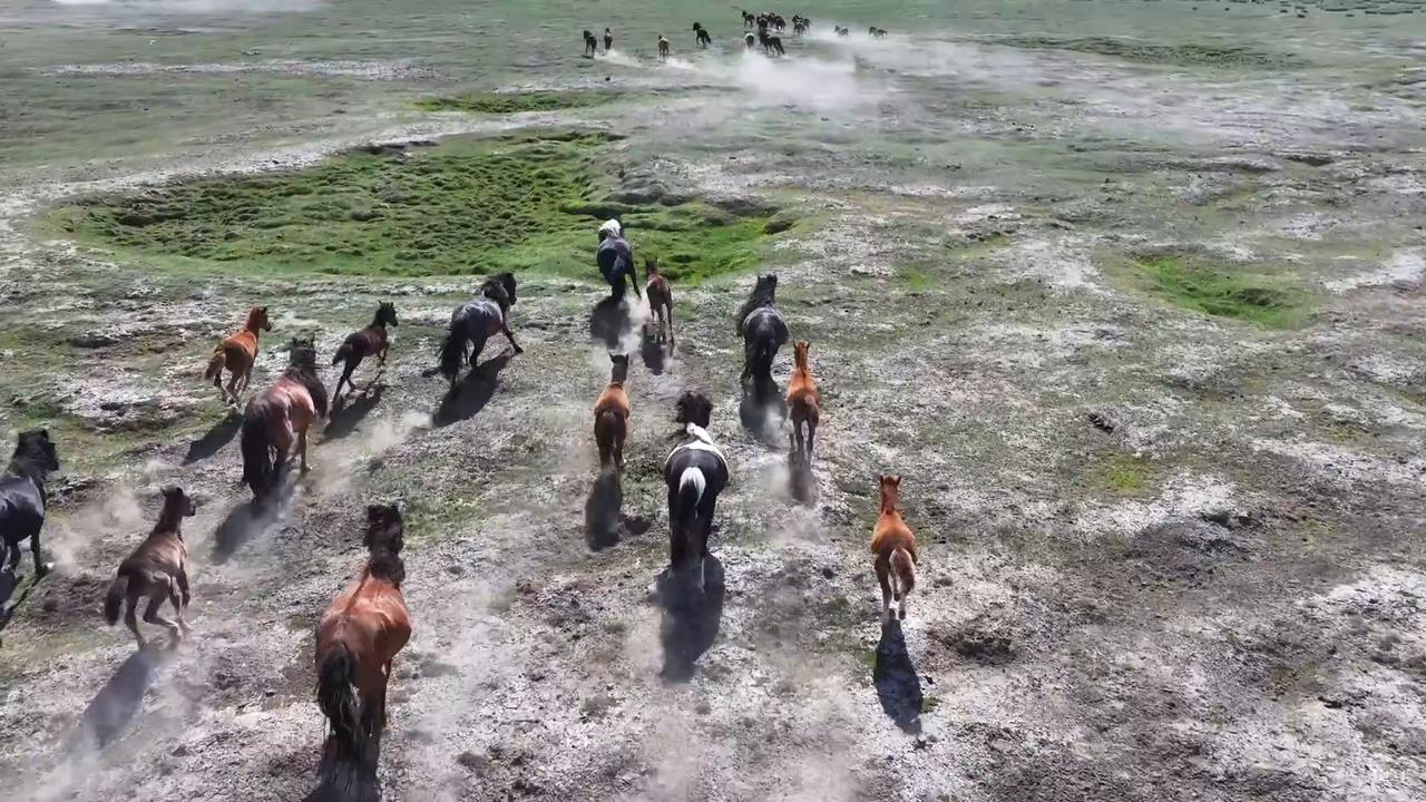 Video thumbnail for China: Horses Run in the Gaojiahu Wetland Park in Barkol.