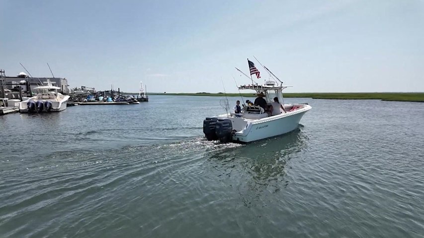Video thumbnail for New state law will require whale-safe boating education