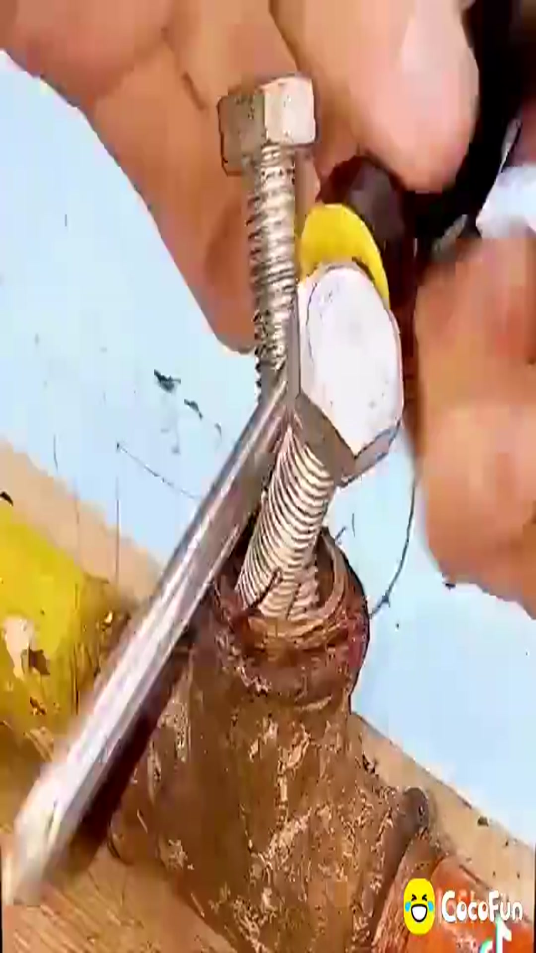 Video thumbnail for 1000000434