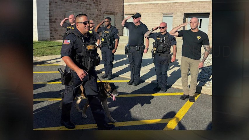 Video thumbnail for Jersey Proud: Monmouth County K-9 Fuze retires after 11 years of service
