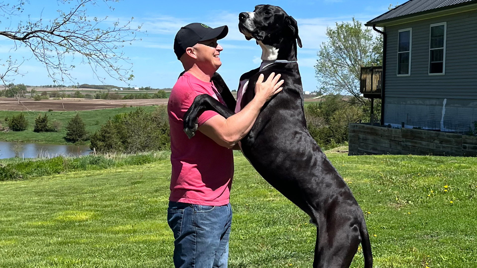 'Video thumbnail for Meet Kevin, the world's tallest dog and gentle giant'