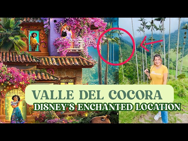 Video thumbnail for How To Travel Disney's Encanto Inspired Location | The Cocora Valley