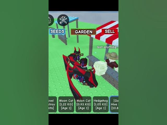 Video thumbnail for May 31, 2025