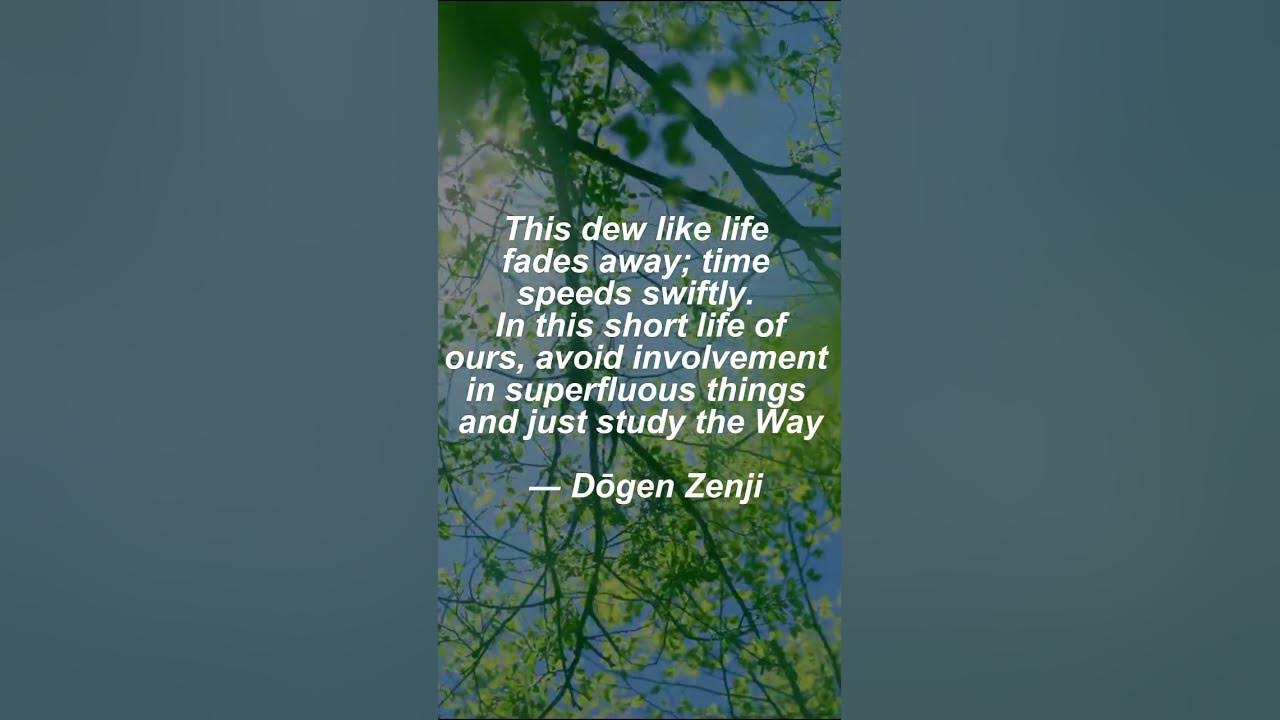 Video thumbnail for Life is short...#lifeisshort #zenquotes #shorts