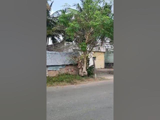 Video thumbnail for 1.37 Acre On-Road Land for Sale Near Marakkanam | 150 Ft Road Frontage | 4 Lane Highway Growth Area