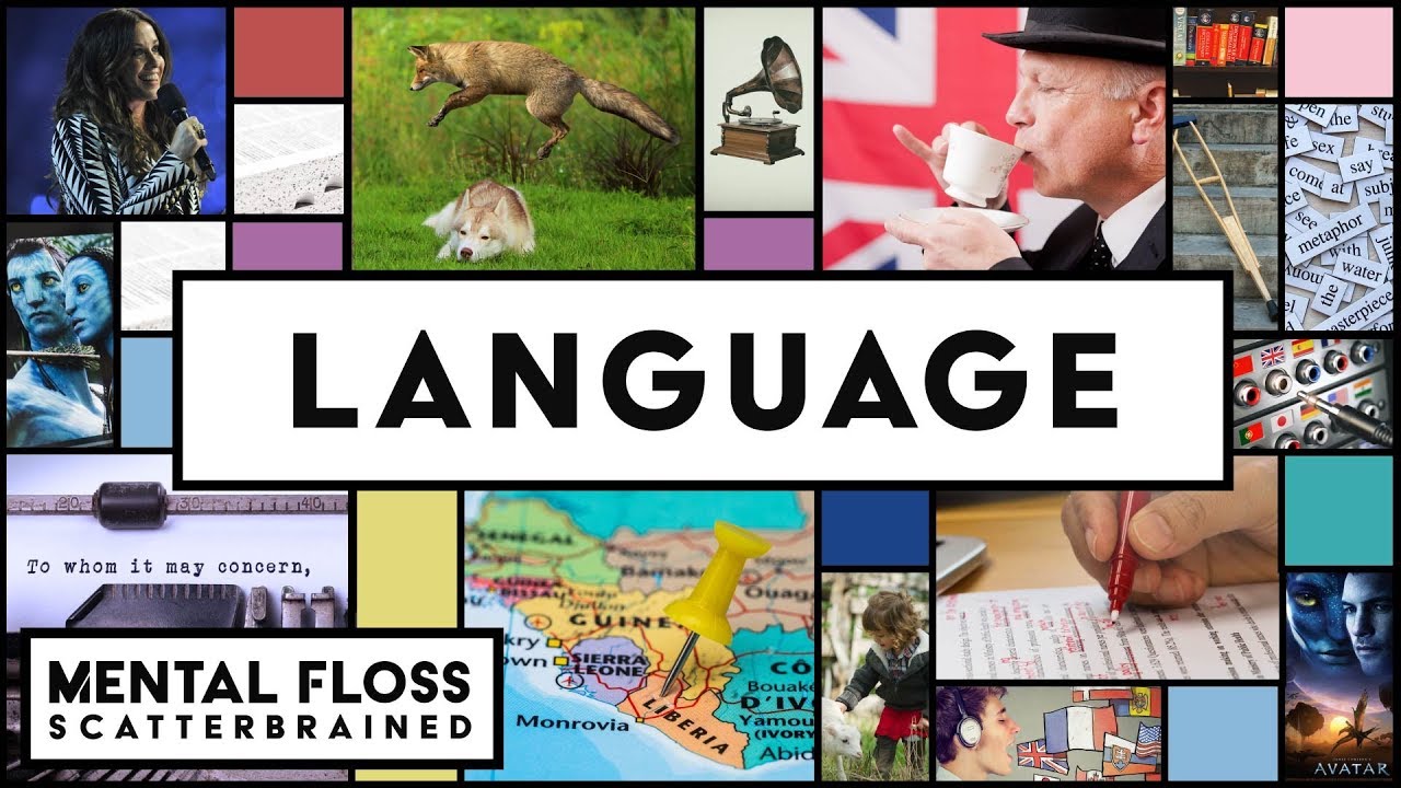 Video thumbnail for Everything You Need to Know About English and Other Languages! - Mental Floss Scatterbrained