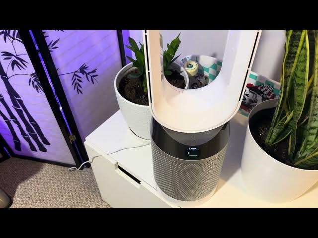 Video thumbnail for Dyson Pure Cool TP4A/TP07 Review - A Great Value!