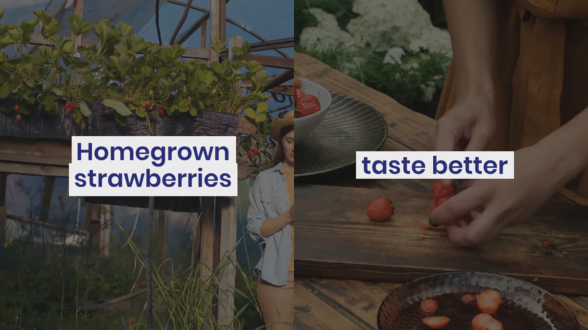 'Video thumbnail for Building a Strawberry Planter Tips and Plans'