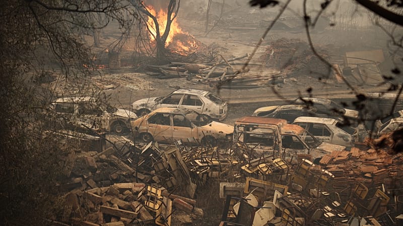 Video thumbnail for Algeria declares 3 days of national mourning as wildfire death toll rises to 12