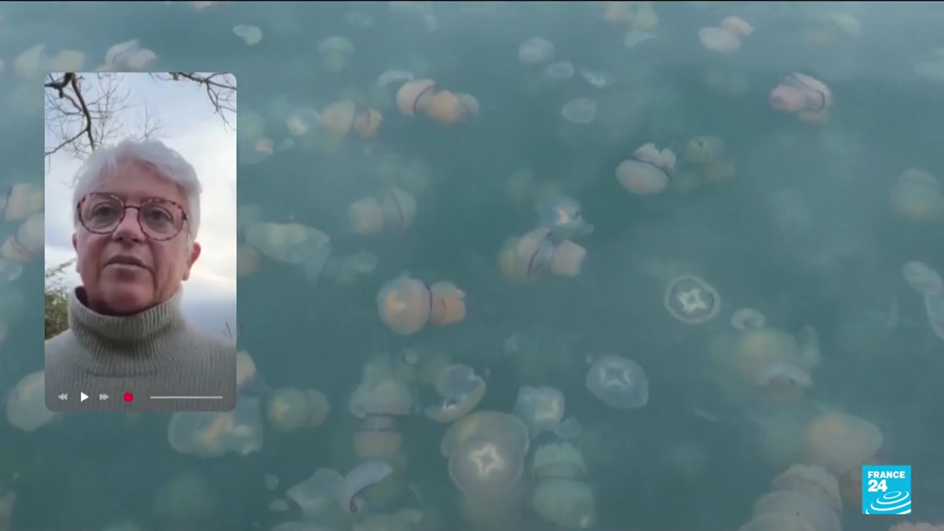 'Video thumbnail for Four reactors of power plant invaded by animals'