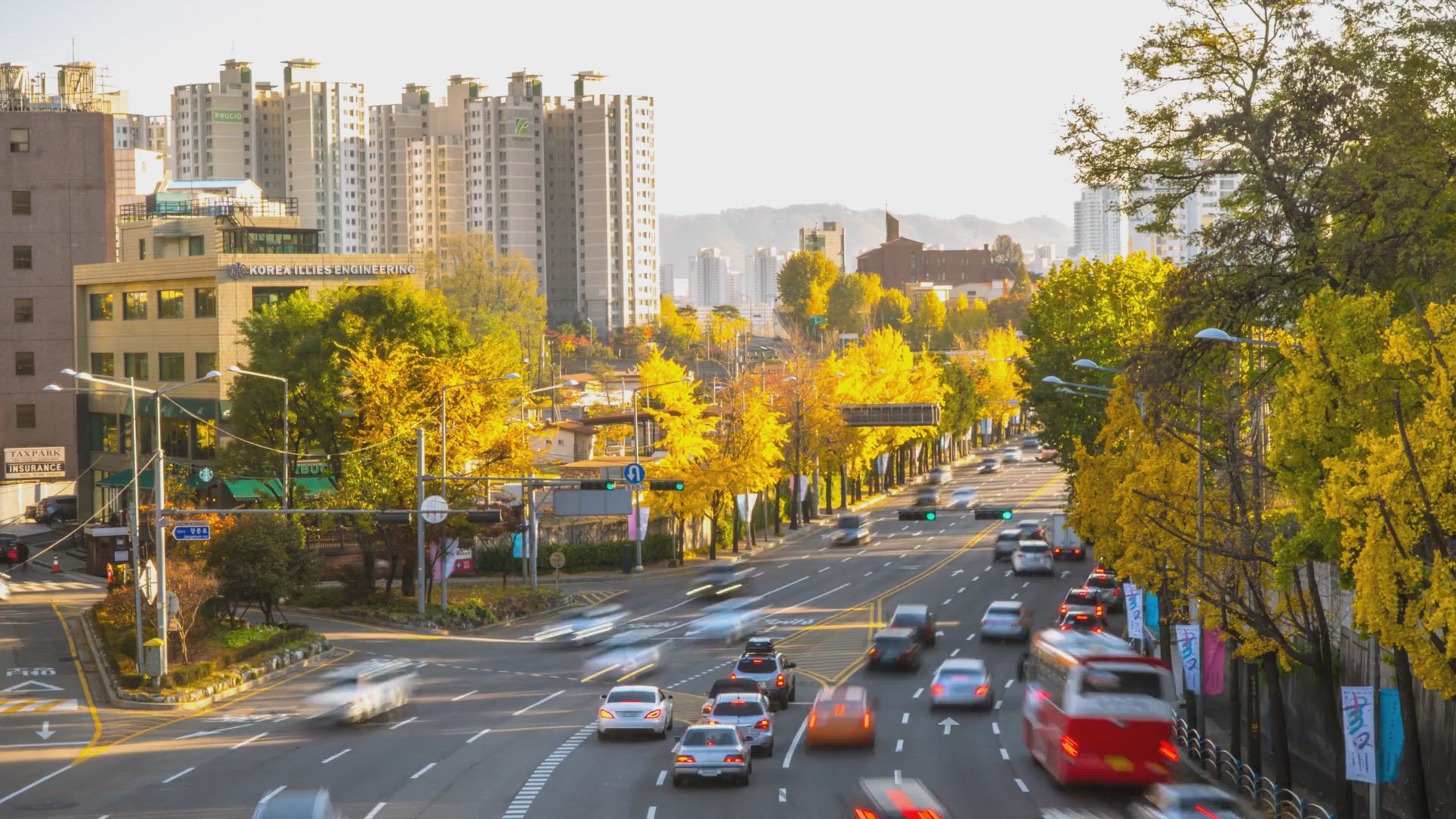 'Video thumbnail for Understanding Seoul's Climate: A Guide to Seasonal Weather Patterns'