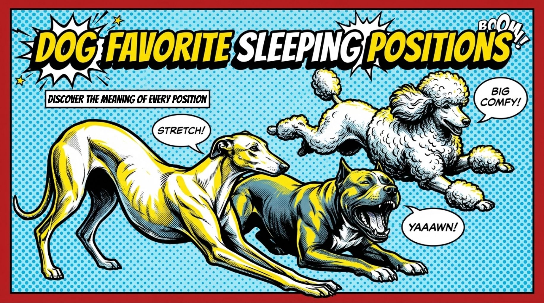 Video thumbnail for The Meaning Behind Your Dog Favorite Sleeping Positions