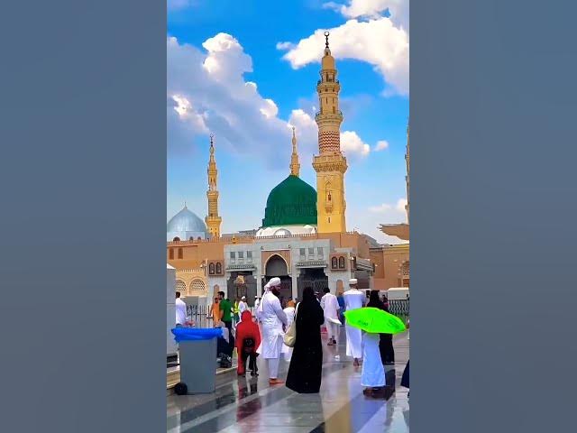 Video thumbnail for Chhod fikar duniya ki chal madine chalte hain# subhanallah