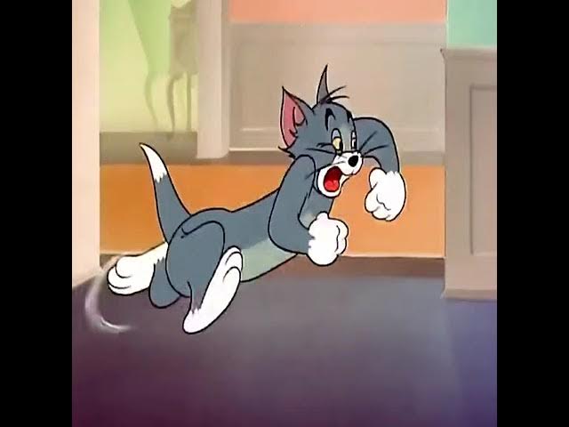 Video thumbnail for #اكسبلورexplore #ذكريات #ذكريات_الزمن_الجميل #الزمن_الجميل #قديمك_نديمك #قديم