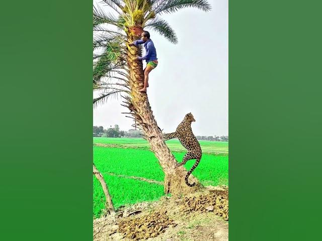 Video thumbnail for চাচার অবস্থা শেষ 🥺