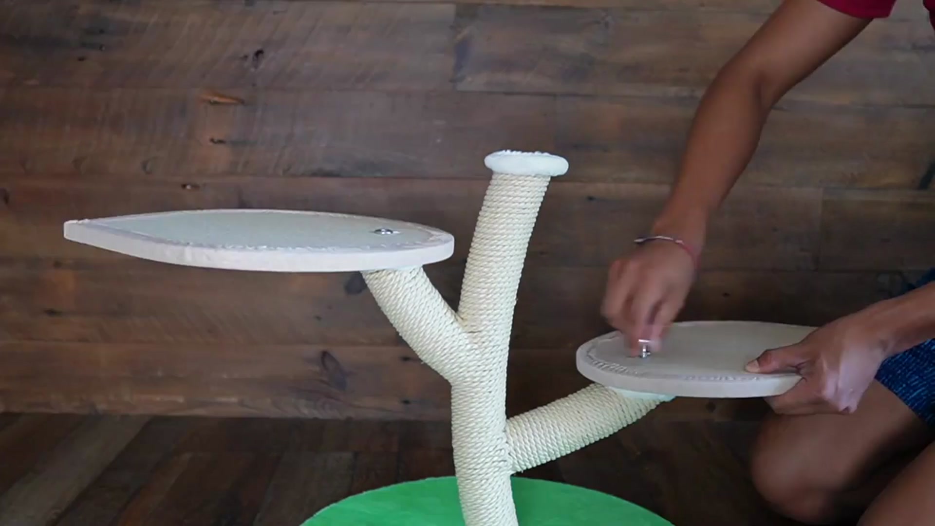 Video thumbnail for Unboxing And Setup Happy & Polly Monster World Cat Tree