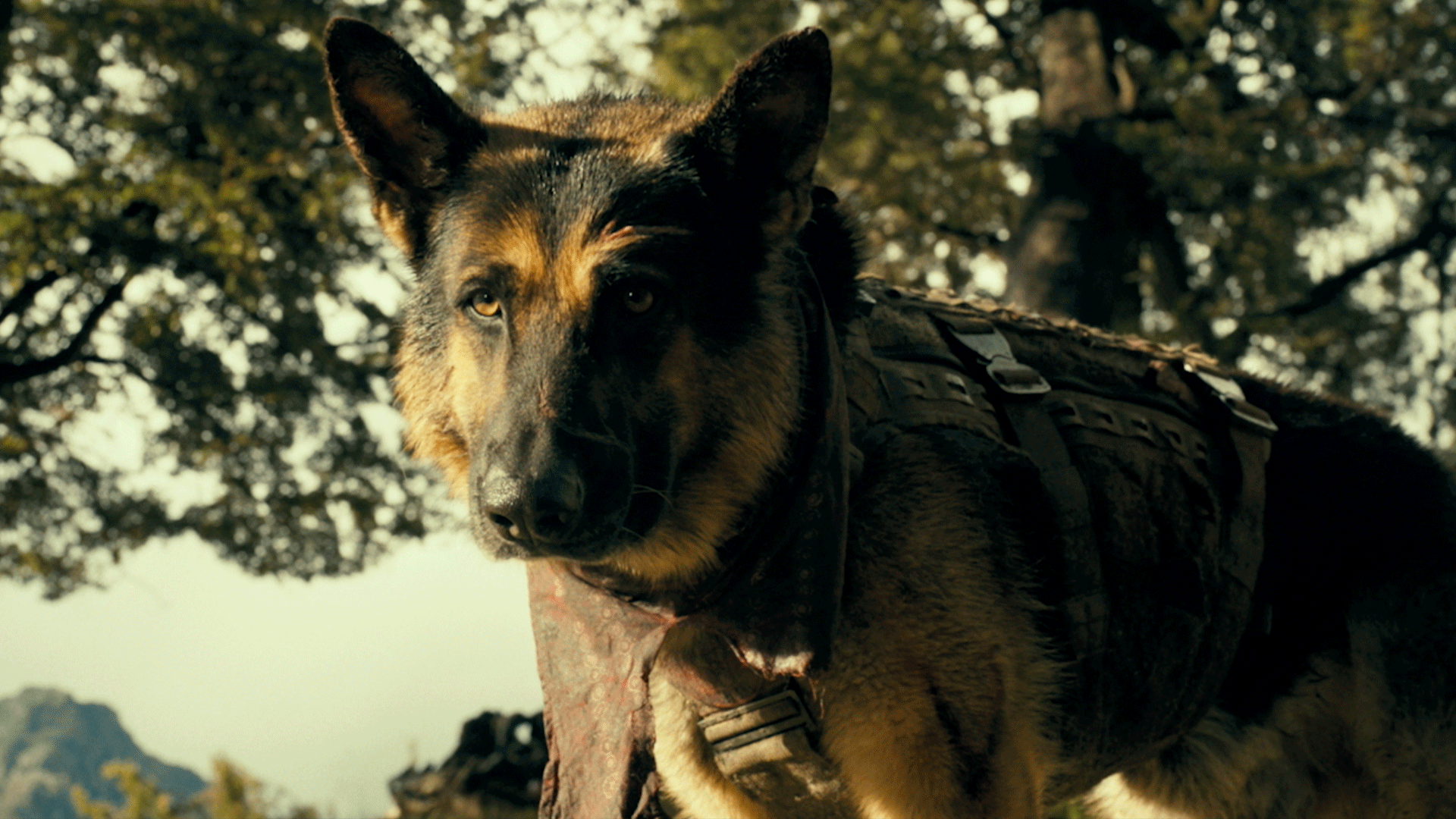 Video thumbnail for Heart of the Beast - Official Odin Behind-the-Scenes Featurette