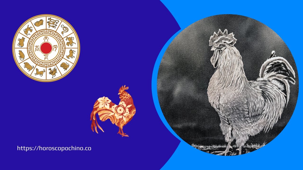 'Video thumbnail for Metal rooster chinese zodiac: video blog'