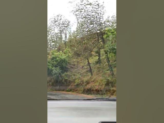 Video thumbnail for चलो पहाड़ पर #trending #geography #pahadi