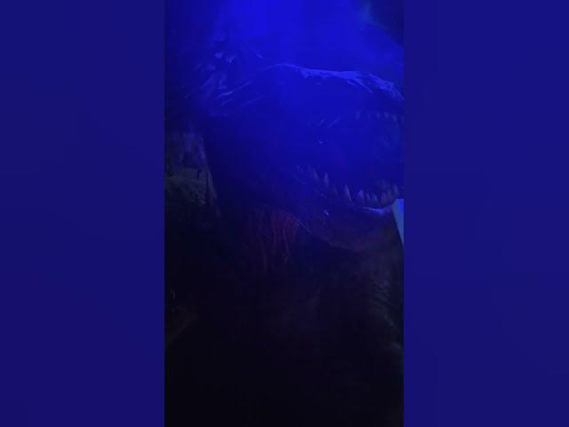 Video thumbnail for 25 February 2026