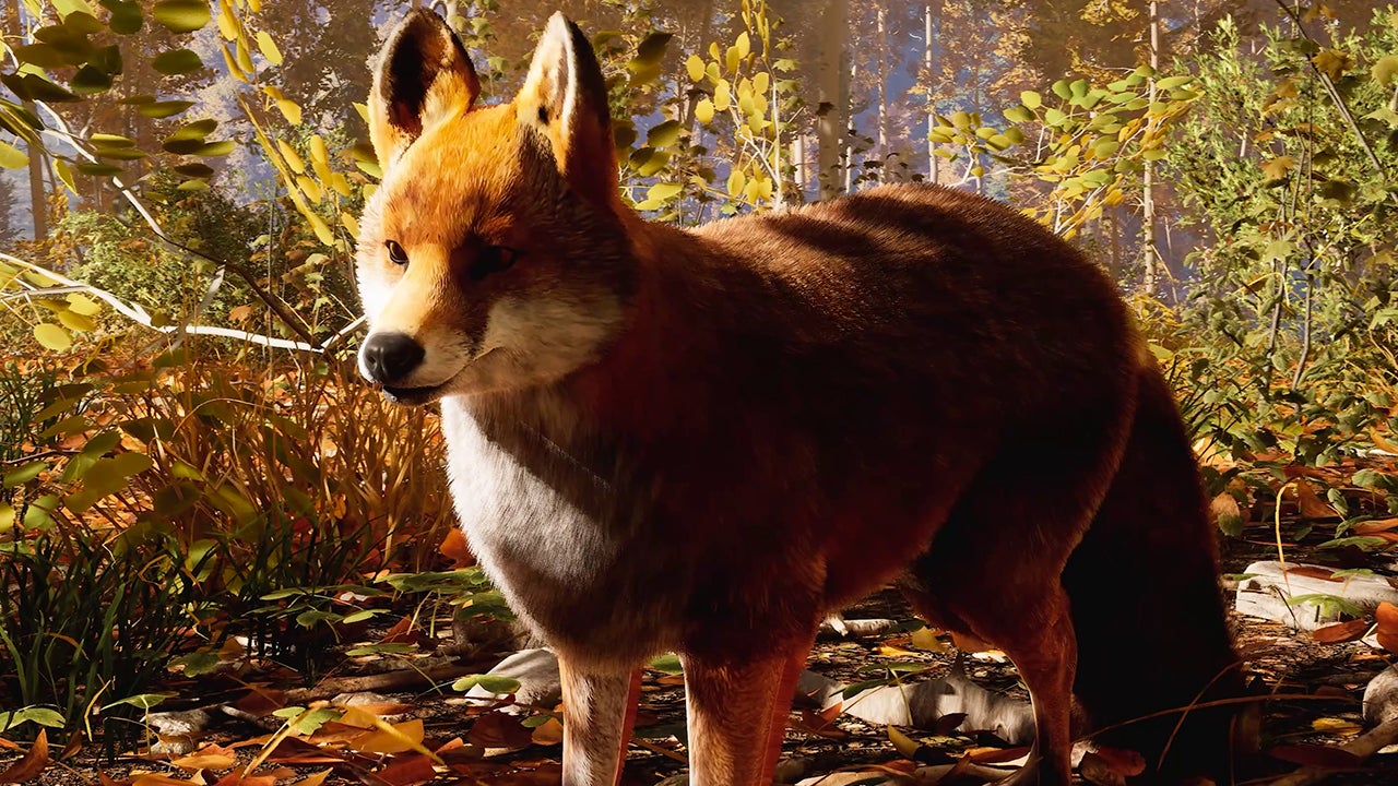 Video thumbnail for Hunting Simulator 3 - Official Release Date Trailer