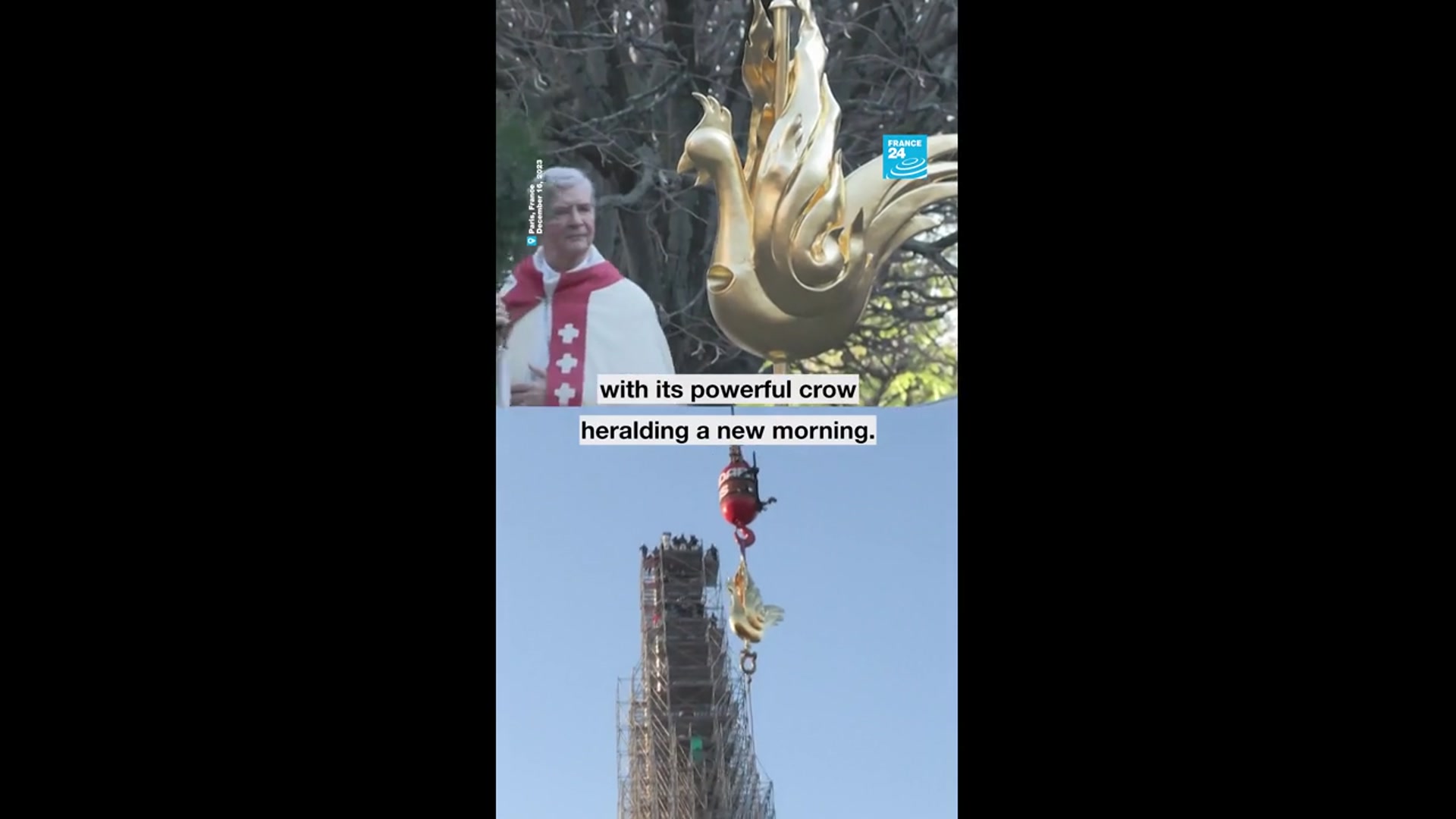 'Video thumbnail for How did the rooster become a symbol of France?'