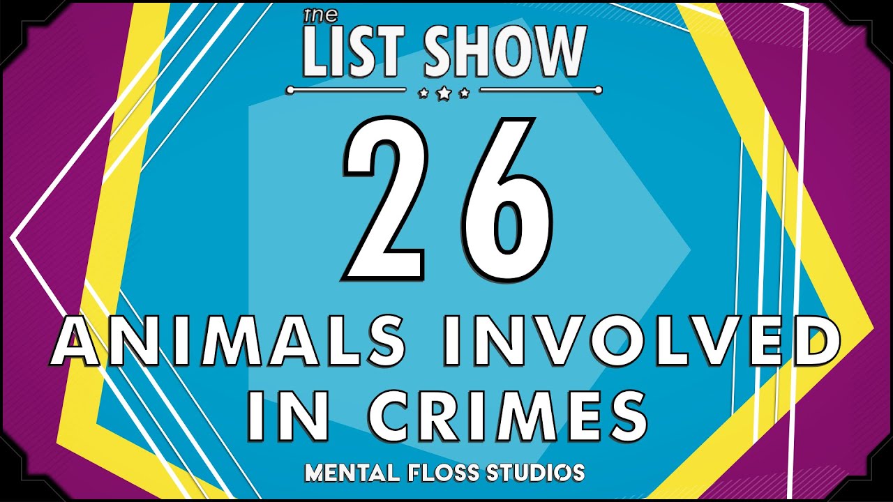 Video thumbnail for 26 Quirky Animals Involved in Crimes | Mental Floss