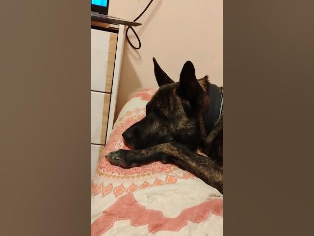 Video thumbnail for November 12, 2025