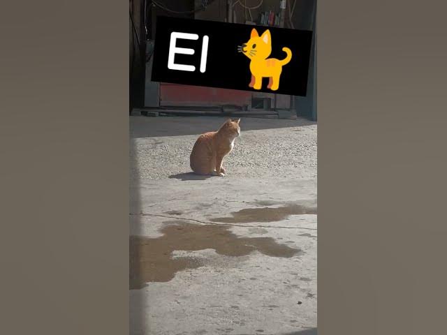 Video thumbnail for Jerónimo #music