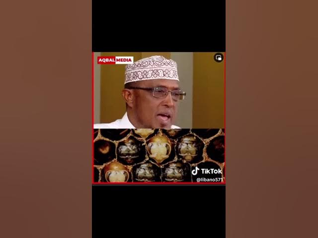 Video thumbnail for 23 November 2024