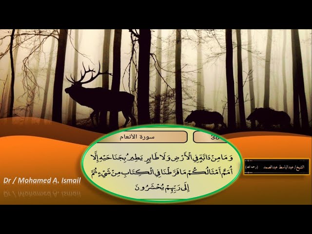 Video thumbnail for آية قرآنية وحديث شريف             Quranic verse and  honorable Hadith