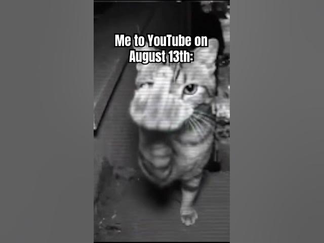 Video thumbnail for If ykyk #memes #cat #sueyoutube