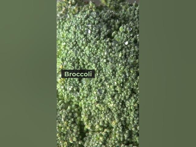 Video thumbnail for 6 Most Nutrient-Dense Vegetables #shorts