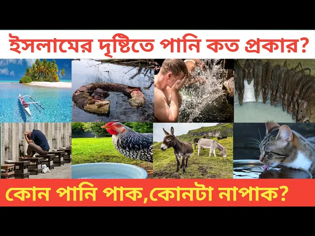 'Video thumbnail for পানি কত প্রকার ও কি কি? পানির বিধান কি? ইসলামী শরিয়তের দৃষ্টিতে পানির প্রকারভেদ, M.N Qasmi Bangla'