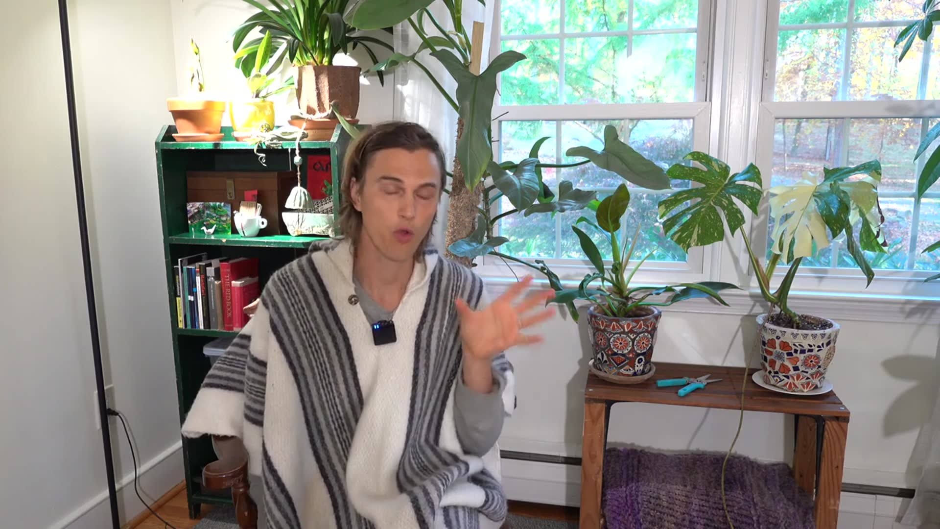 Video thumbnail for This is How to Fertilize Houseplants - How Much, How Often & What to Fertilize Indoor Plants