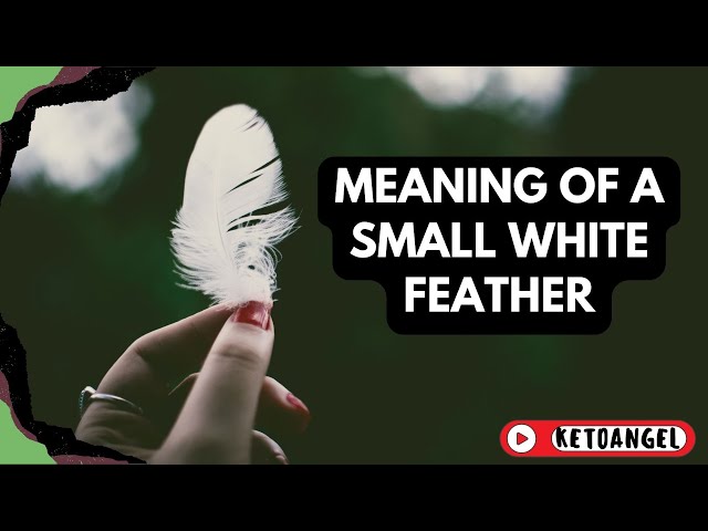 'Video thumbnail for The Gentle Meaning of a Small White Feather'