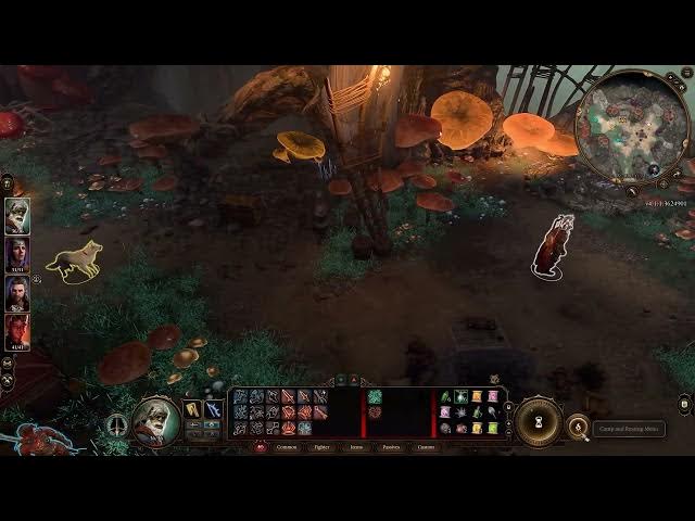 Video thumbnail for How To Claim Deluxe Edition Items In Baldur's Gate 3