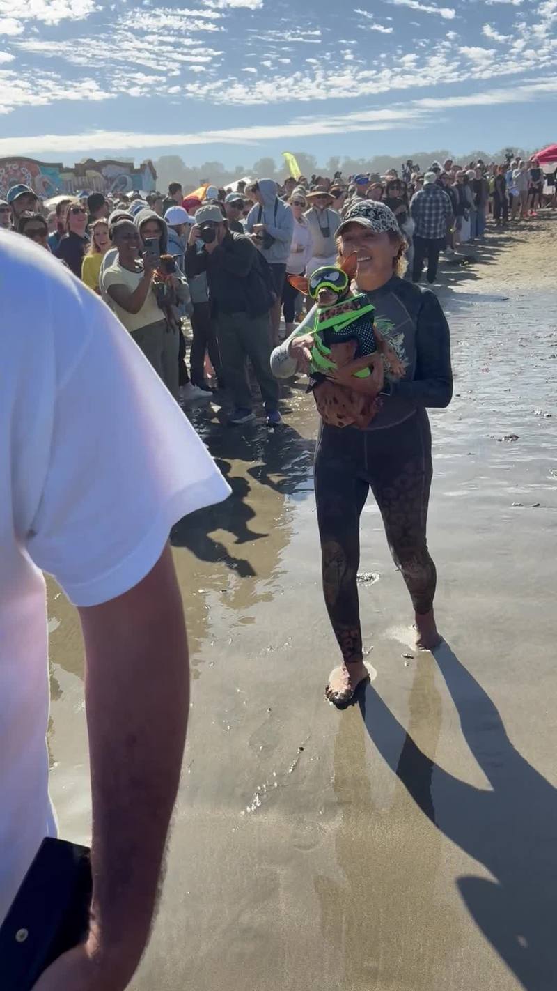 Video thumbnail for Rusty the Min Pin Marches through the Crowd to Surf the Waves