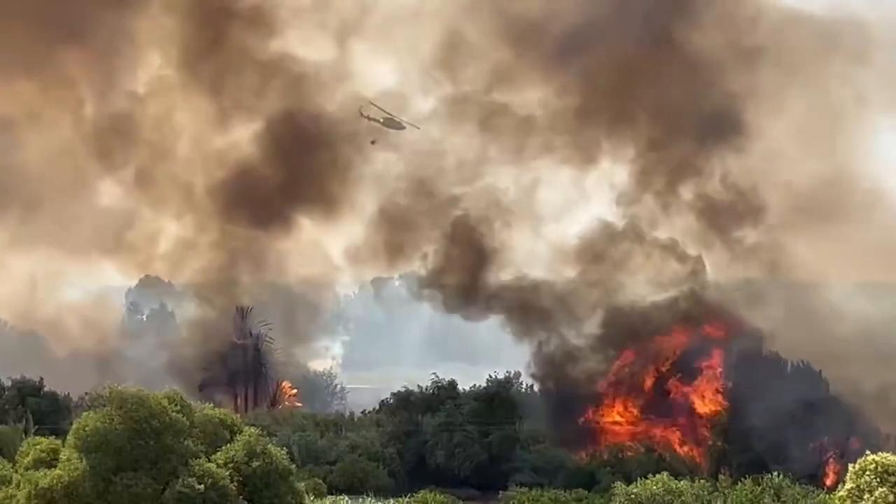 Video thumbnail for Spain: Wildfire Breaks Out Along Segura River in Murcia, Forcing Evacuations.