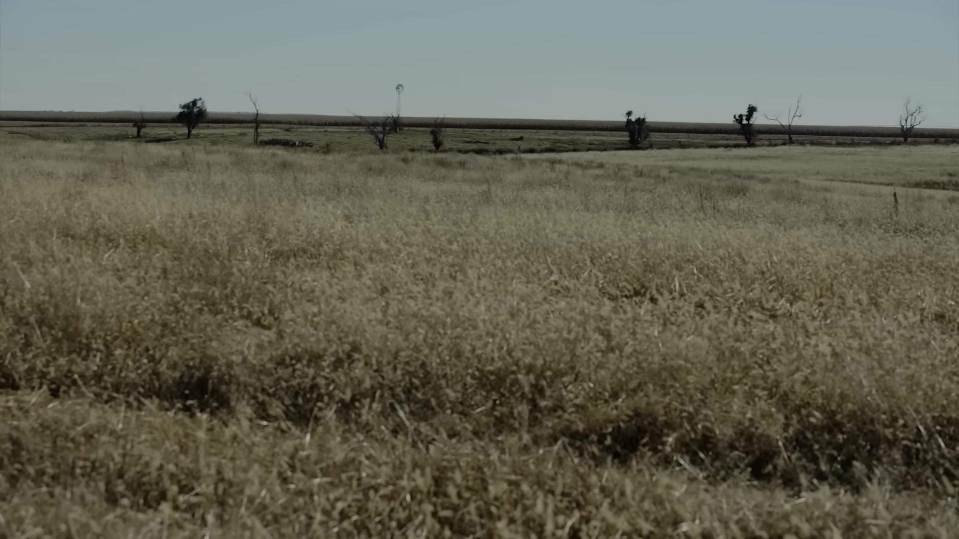 Video thumbnail for Justiça no oeste selvagem! Crime no deserto   Faroeste filme dublado em português