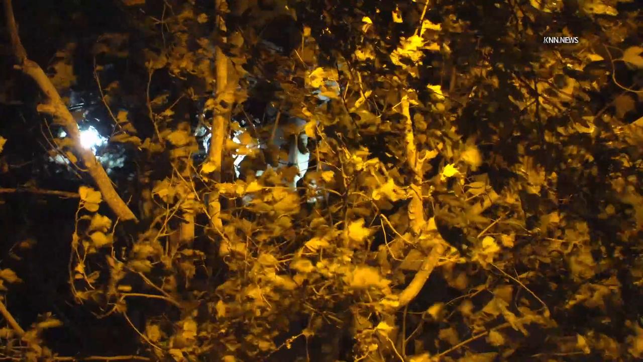 Video thumbnail for US, Los Angeles: Santa Clarita Santa Ana Winds Intensify Overnight for Friday Peak.