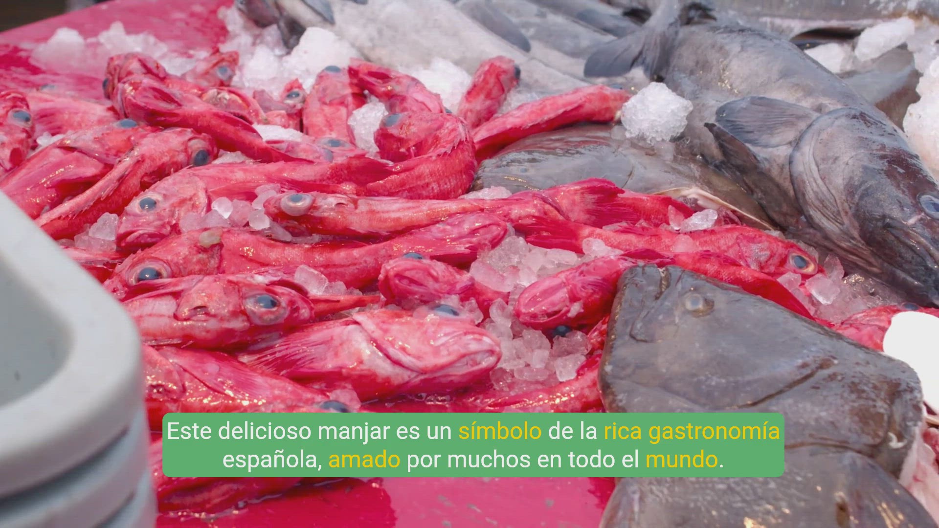 Video thumbnail for La receta clásica de Calamares a la Romana