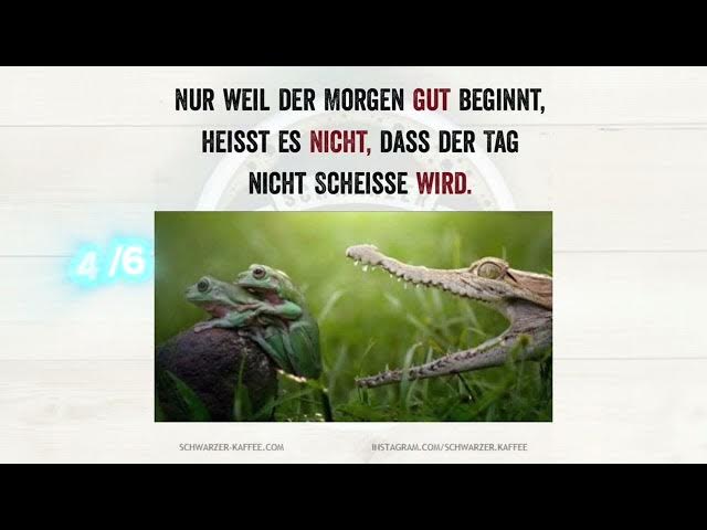 Video thumbnail for Toller Akzent