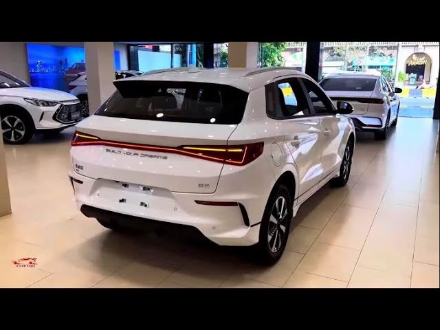 'Video thumbnail for 2024 BYD e2 EV Interior and Exterior.'