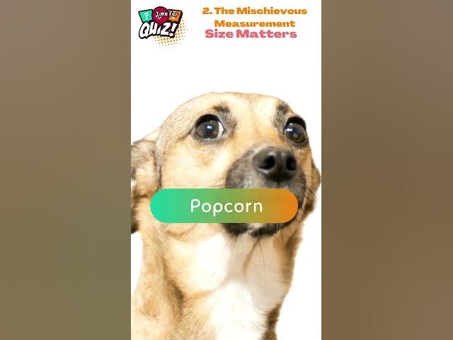 Video thumbnail for 🔥 25 Cheeky Riddles That'll Tickle Your Funny Bone! 😜 | Can You Handle the Wit? 2